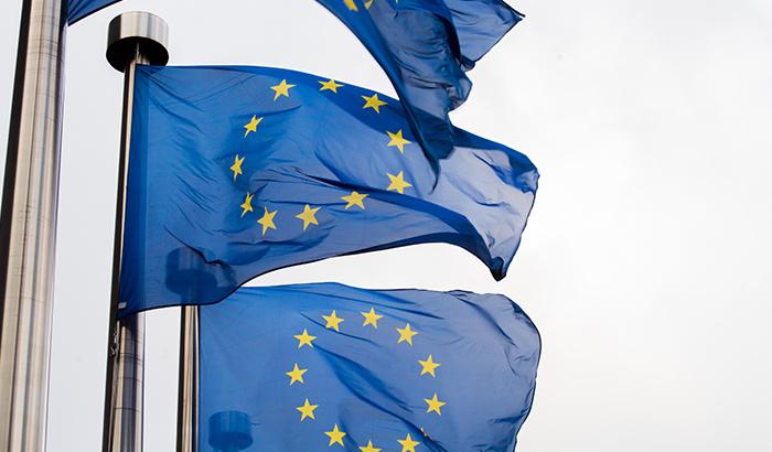 EU flags